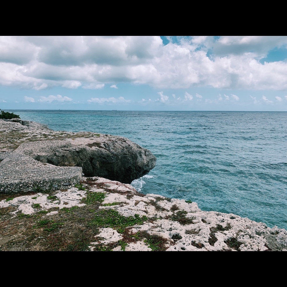 Meet your Posher, Skylar